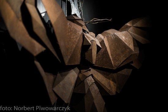 Cma by Mateusz Gessler